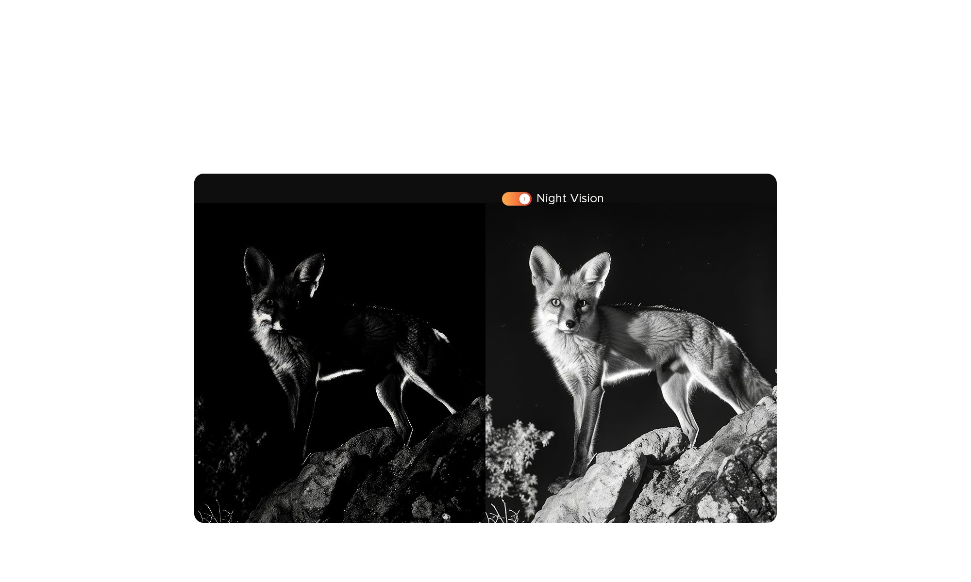 doogee.com