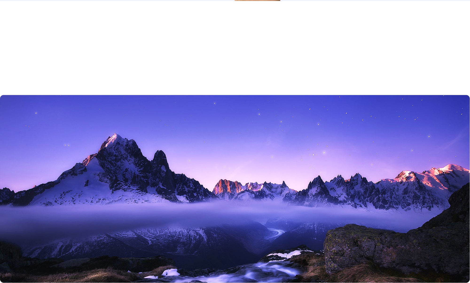 doogee.com